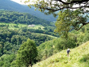 Voie du Piémont pyrénéen