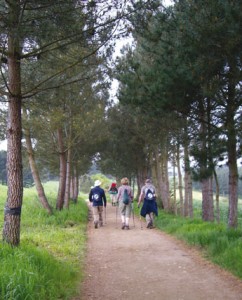 chemin de Compostelle